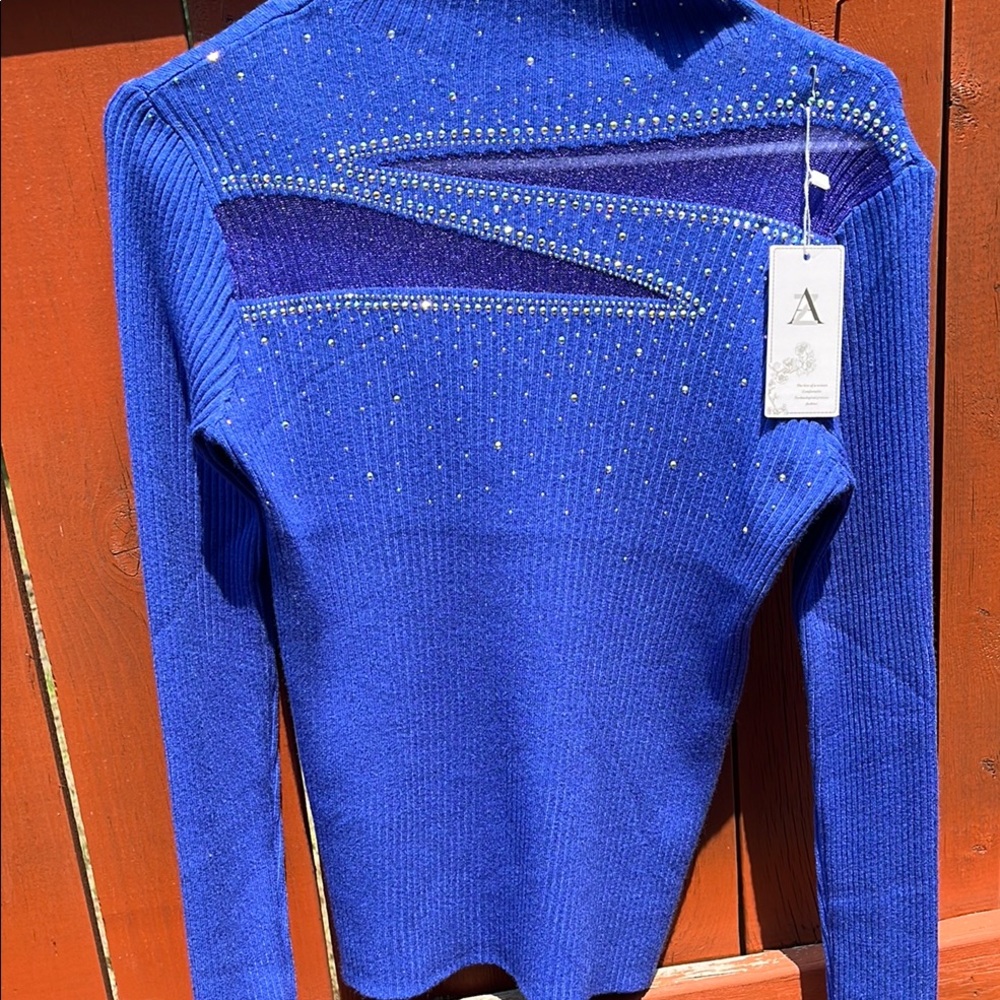 Blue and Purple Embellished Sweater